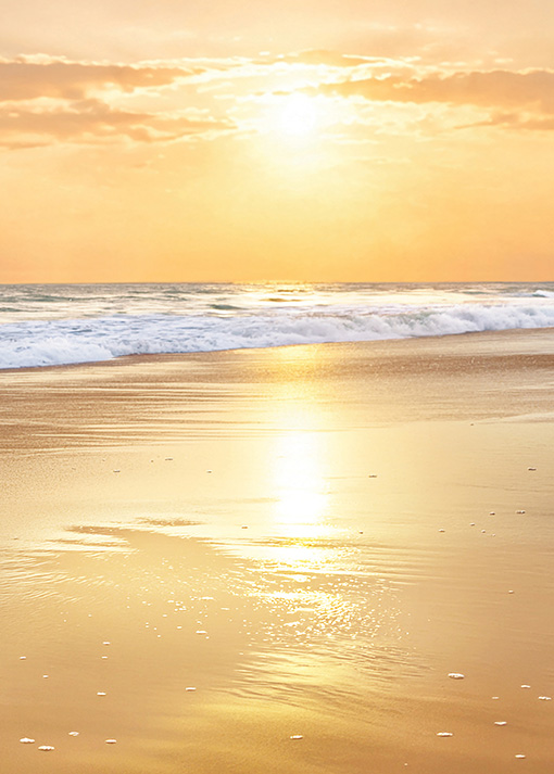 The sun setting over the sea